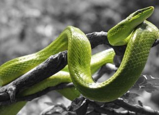 Jak zrobić kreskę kredka na górnej powiece?