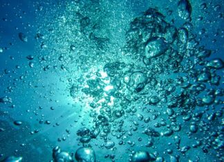 Po co bąbelki w akwarium?