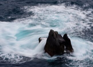 Co obecnie z cenami cukru?