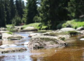 Dlaczego nie spływa płyn do płukania w pralce?