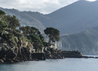 Ile kosztuje kilogram cukru w Turcji?