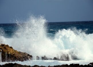 Czy szumowiny z rosołu są zdrowe?
