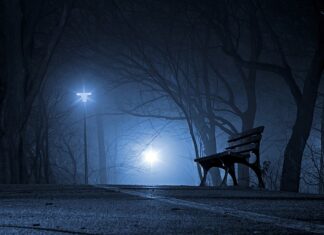 Które cukrownie są polskie?