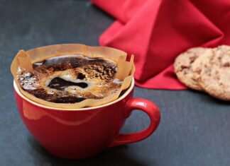 Jak dbać o filtr w akwarium?