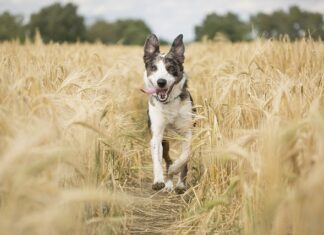 Co najlepiej działa przeciwzmarszczkowy?
